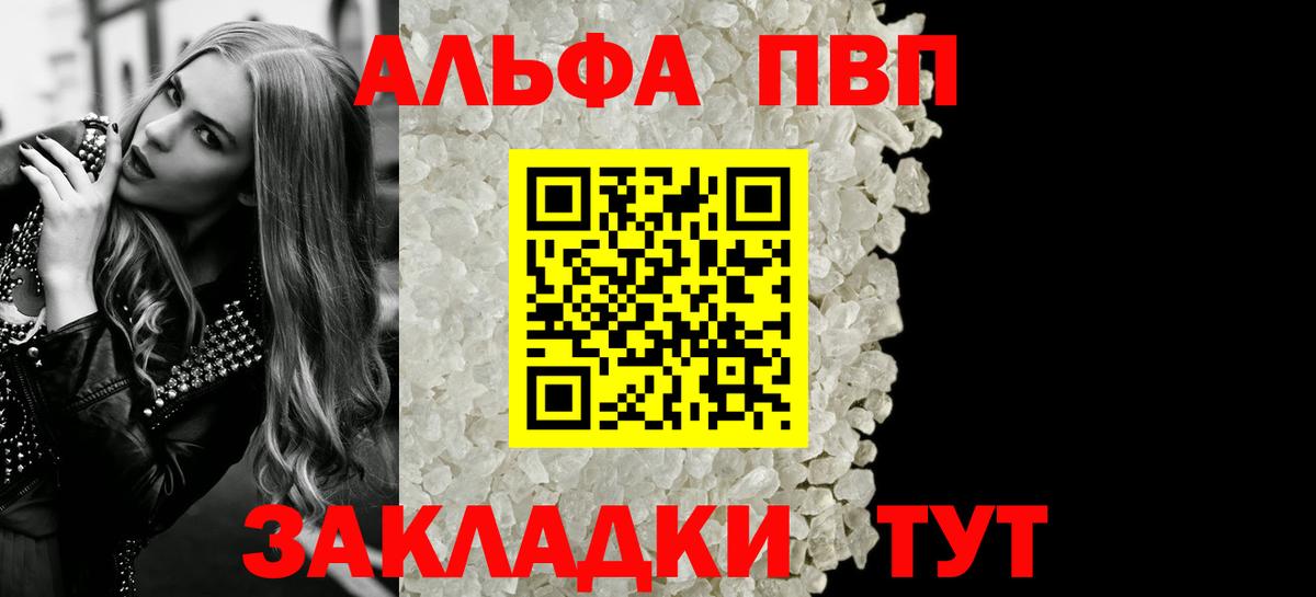 Alfa_PVP СК Гатчина