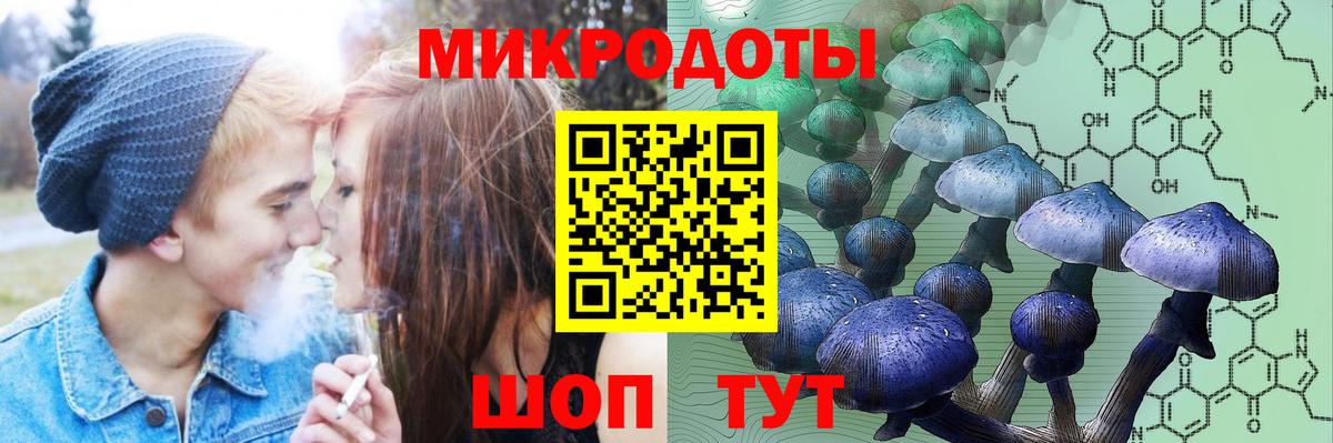 Гатчина  Псилоцибиновые грибы GOLDEN TEACHER  Вход с VPN 