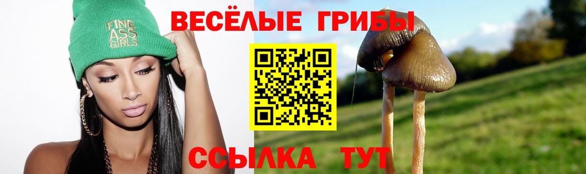 Псилоцибиновые грибы Psilocybine cubensis Гатчина